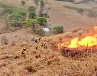 Bomberos atienden al menos tres incendios forestales