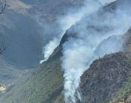 El fuego arrasó con numerosas hectáreas de vegetación.