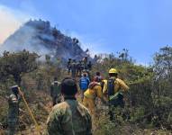 Militares, bomberos y ciudadanos trabajaron para controlar el incendio en Sigchos.