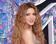 Fotografía de la famosa cantante Shakira