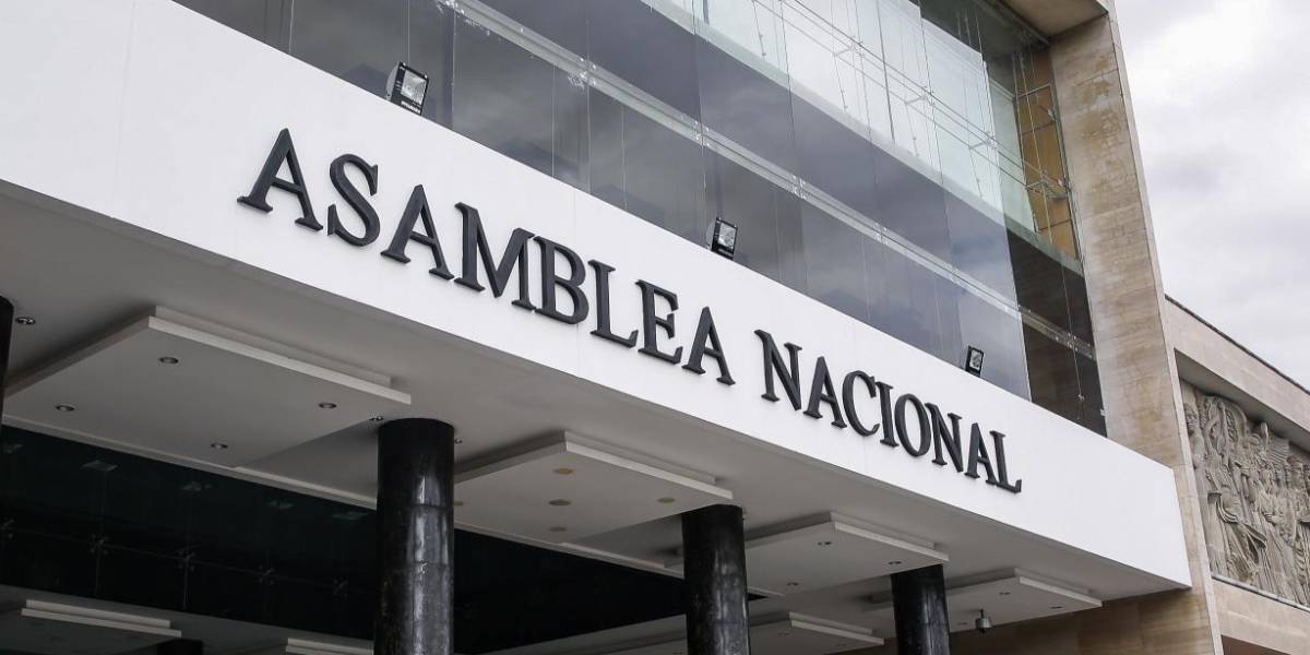 La presidenta de la Asamblea, Viviana Veloz, pide que se investigue a fiscales por el caso de violación a una niña