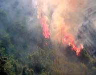 Imagen del incendio de maleza en el cerro del Carmen, atrás del cementerio general de Guayaquil.