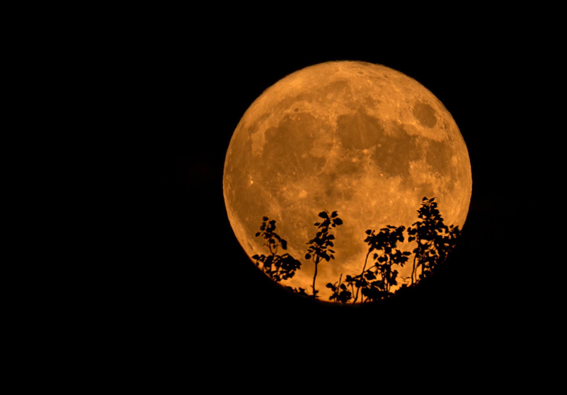 El eventro astronómico 'Superluna de ciervo' ha brindado experiencias magníficas a fotógrafos del mundo.