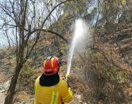 50 brigadistas trabajan en Cerro Azul por un incendio forestal. La energía eléctrica en la zona tuvo que ser suspendida.