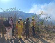 El fuego incineró pajonales y bosques de pino. Los animales de la zona también resultaron afectados.