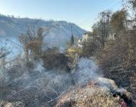 Imagen de incendio forestal sofocado.