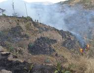 Las llamas afectaron gran parte de una quebrada de la zona.