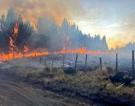 Un incendio forestal afectó a la zona de Pansache, en Cotopaxi.