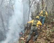 Los bomberos trabajan largas jornadas para combatir las llamas.