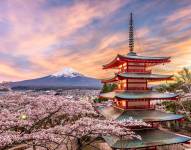 Esta es la temporada más económica para viajar a Japón