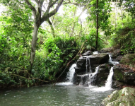 Imagen referencial de las cascadas en la reserva.