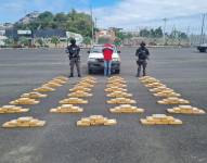 Los alcaloides decomisados por la Policía Nacional.