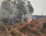 Incendio devastador en Quilanga, Loja.