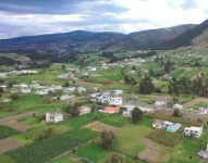 Imagen de pastizales verdes tras lluvias en la Sierra.