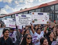 Marcha del Día Internacional de la Eliminación de la Violencia Contra la Mujer.