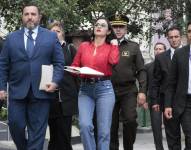 Viviana Veloz presentó la acción de inconstitucionaliad el 18 de diciembre.