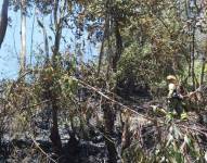 Personal del Cuerpo de Bomberos de Quito, controla el incendio forestal en el sector de Cochapamba.