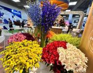 Inauguración del Expo Flor 2024, la feria de flores más grande del país.