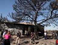 Foto de un árbol afectado por los incendios en Grecia