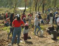 La gente se unió para la minga de reforestación.