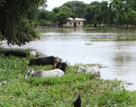 Imagen de archivo de inundaciones en Guayaquil por la crecida de ríos en 2023.