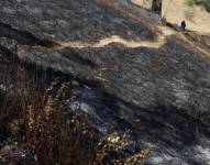 Incendio en el cerro del Auqui, bomberos, policías y moradores, trabajan en el sector desde tempranas horas, para sofocarlo.