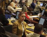 Mónica Palacios en el Pleno de la Asamblea durante una sesión de este miércoles 6 de noviembre.