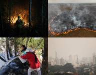 Fotografías de archivo que muestra un bombero en un incendio en Bolivia (i-arriba), un incendio en una zona de la Amazonía, Brasil (arriba-d), residentes ayudan a mitigar el fuego en Quito, Ecuador (i-abajo) y la contaminación en la ciudad por los incendios en Asunción, Paraguay.