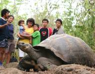 152 jóvenes se suman a los guías especializados en las Islas Galápagos