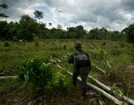 11 grupos criminales operan en la frontera entre Ecuador y Colombia, según informe de Estados Unidos