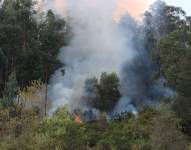 Imagen del incendio en el bosque de El Panecillo en Quito, el jueves 12 de septiembre.