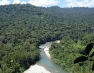 El Parque Nacional Podocarpus alberga una gran superficie de páramos, bosques nublados y zonas de matorral.