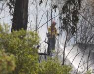 Con 45 efectivos y 16 vehículos se controló y sofocó una quema de hierba seca, matorral y arbolada en La Cima de La Libertad.