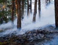 En Cuenca se reportó un incendio forestal en el sector de Los Álamos. El fuego se extendió rápidamente debido al pajonal seco afectando a una gran extensión de terreno.