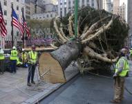 Un equipo de trabajadores levanta el árbol de Navidad del Rockefeller Center en Nueva York, EE. UU., 9 de noviembre de 2024.