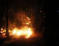 Fotografía de un incendio forestal, este sábado en San Javier (Bolivia).