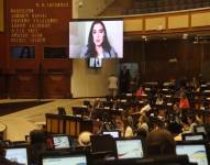 Verónica Abad durante su comparecencia en el Pleno del Legislativo este miércoles 13 de noviembre.