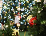 Un árbol de Navidad con luces.