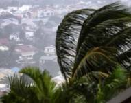 Esta fotografía muestra una palmera bajo ráfagas de viento mientras el ciclón Garance se acerca a La Possession, en la isla francesa de ultramar de La Reunión.