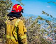 Imagen de un bombero atendiendo la emergencia de incendios