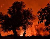 Incendio forestal en Grecia