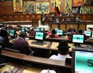 La Asamblea busca reducir el número de votos para la ratificación de leyes, ante un veto parcial del Ejecutivo