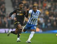 El Brighton de Pervis Estupiñán empató con el Wolves en la Premier League.