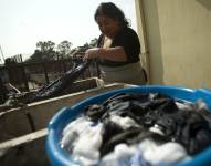 Fotografía de archivo en donde se ve a una empleada doméstica lavando ropa.
