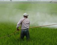 El 30 % de la población ecuatoriana está expuesta a altos niveles de pesticidas