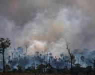 Detienen a personas por presunta deforestación ilegal en la triple frontera entre Argentina, Brasil y Paraguay.