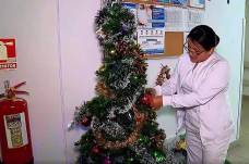 Personal de salud colocando el árbol de Navidad en el hospital.