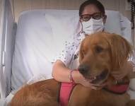 Hospital de Quito ofrece una terapia complementaria con perros