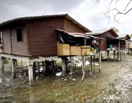 86 familias viven hacinadas en la ecoaldea de la Isla Santay.