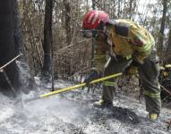 Un bombero realiza tareas de enfriamiento para que el incendio forestal no se reactive.